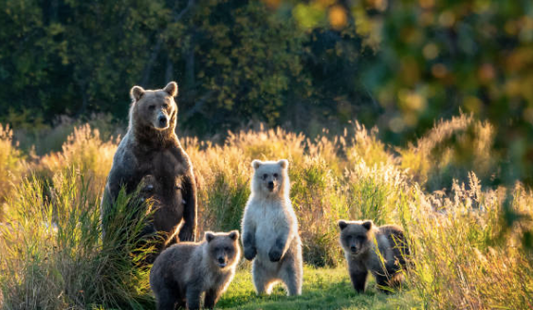 Raus an die frische Luft !